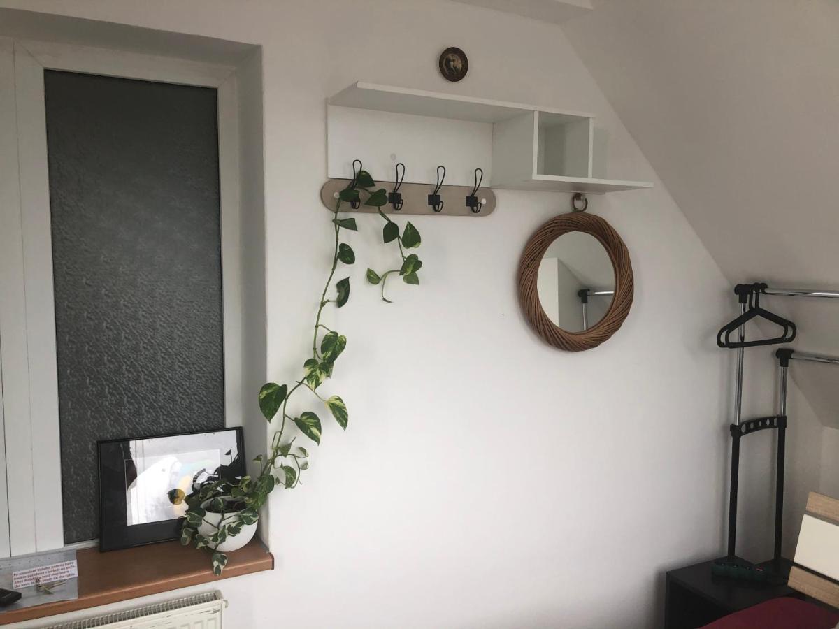 Homestay U Hanky Zdiby Luaran gambar